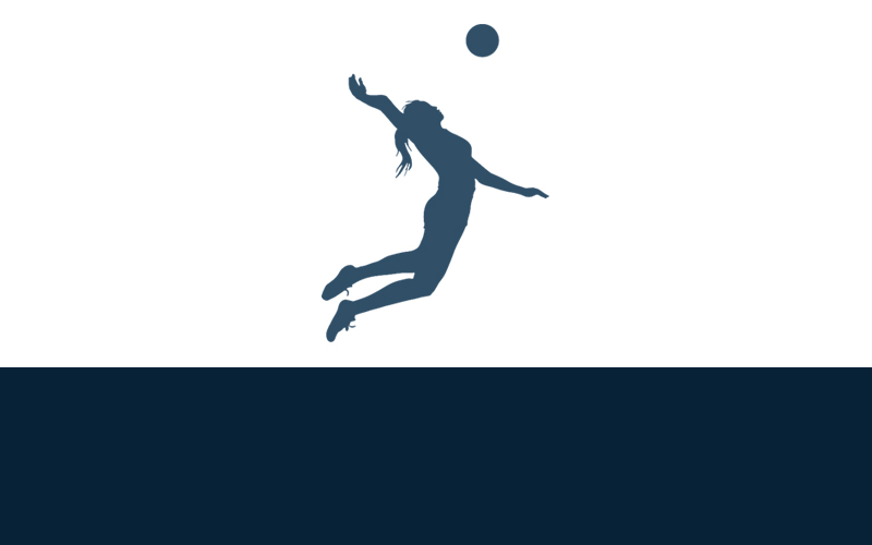 Vôlei